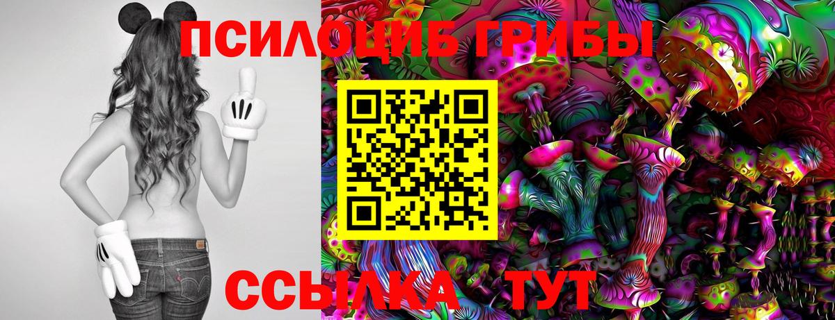 Псилоцибиновые грибы Psilocybe  Псилоцибиновые грибы Psilocybine cubensis  Вход с VPN  Абакан 